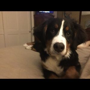 Meet your Posher, Carolyn